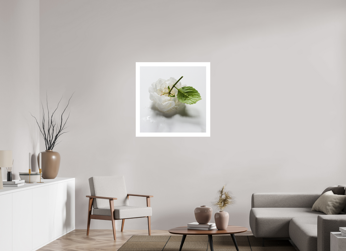 Hortensia