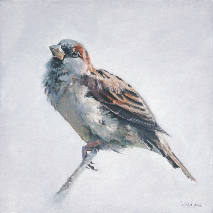Schilderij van een mus op een tak, in realistische stijl met warme bruin- en grijstinten tegen een lichte achtergrond.