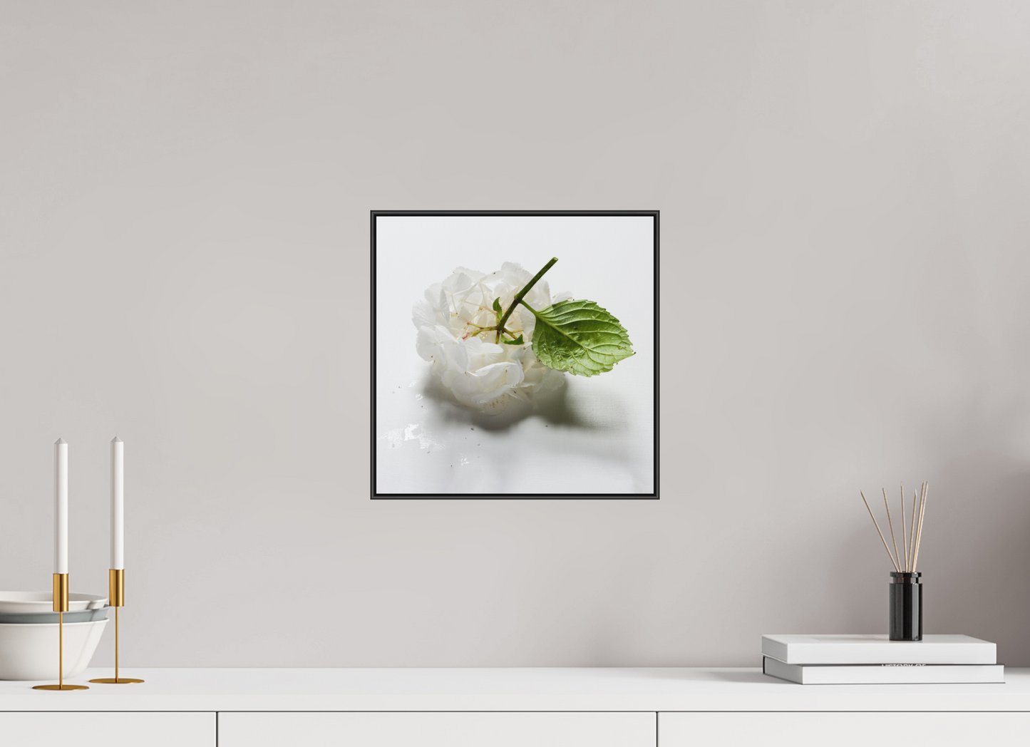 Hortensia