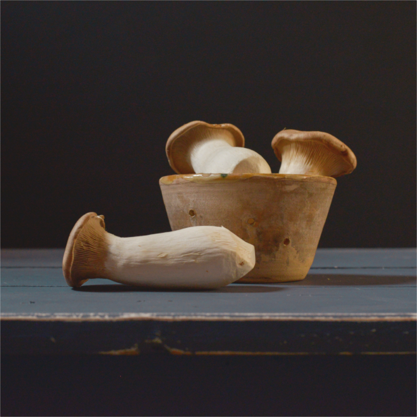 Realistisch stilleven van koningsboleten in en naast een aardewerken pot op een donkerblauw houten oppervlak, tegen een zwarte achtergrond. Fotografie van Dirk Bal.