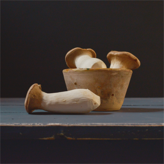 Realistisch stilleven van koningsboleten in en naast een aardewerken pot op een donkerblauw houten oppervlak, tegen een zwarte achtergrond. Fotografie van Dirk Bal.