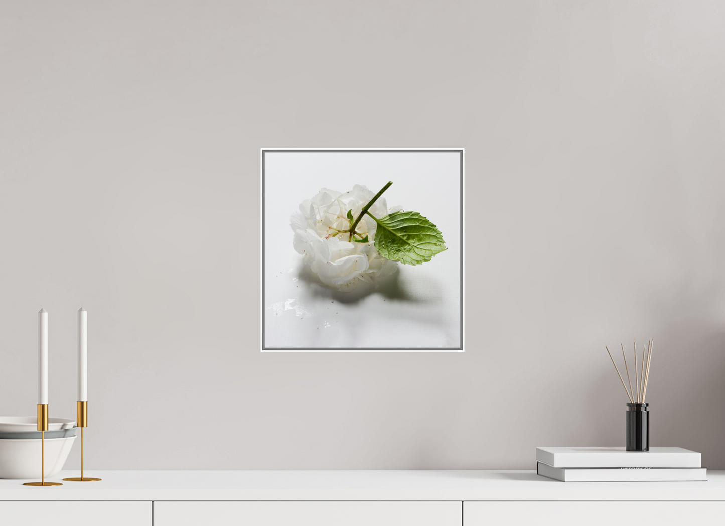 Hortensia