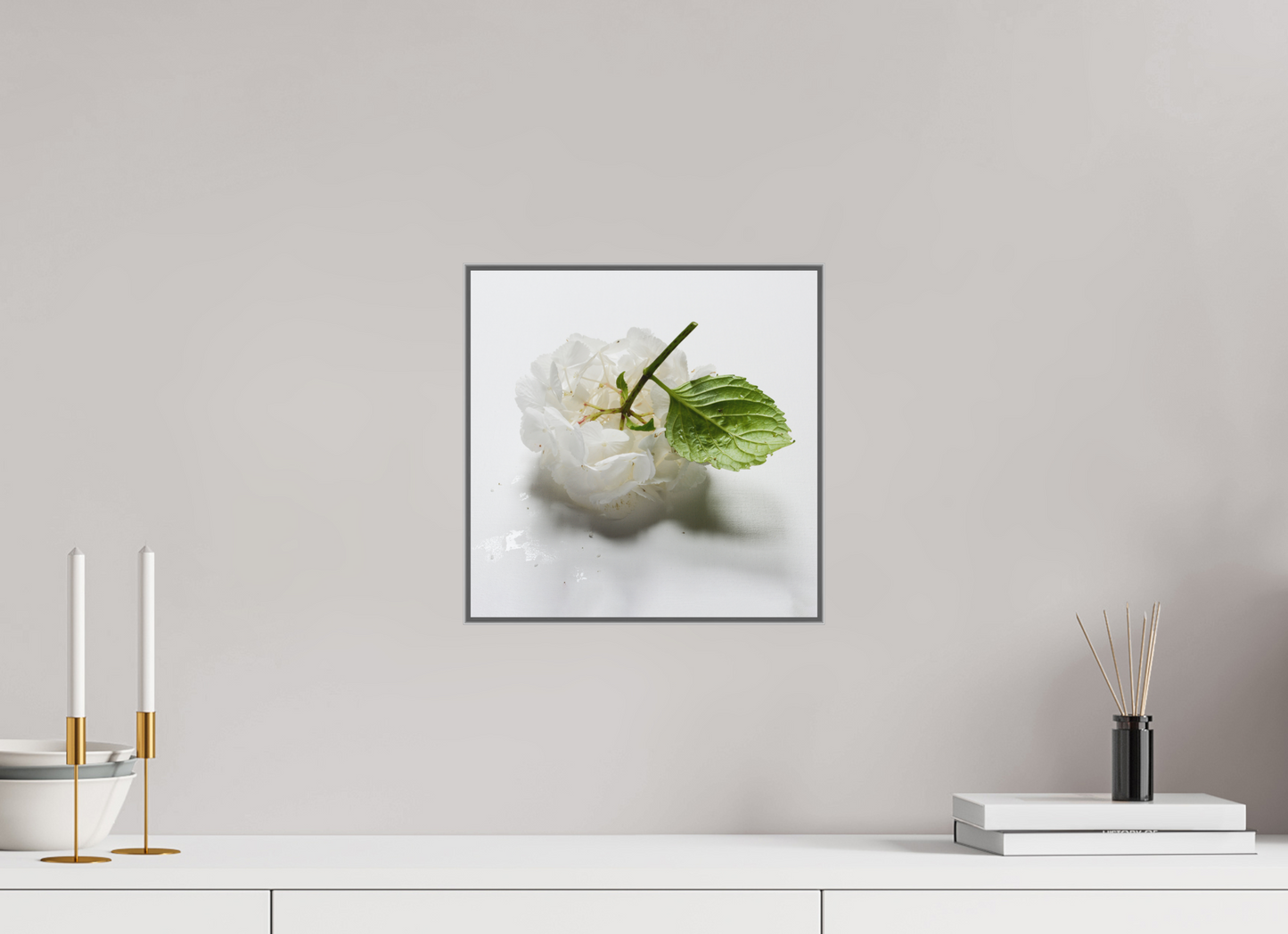 Hortensia