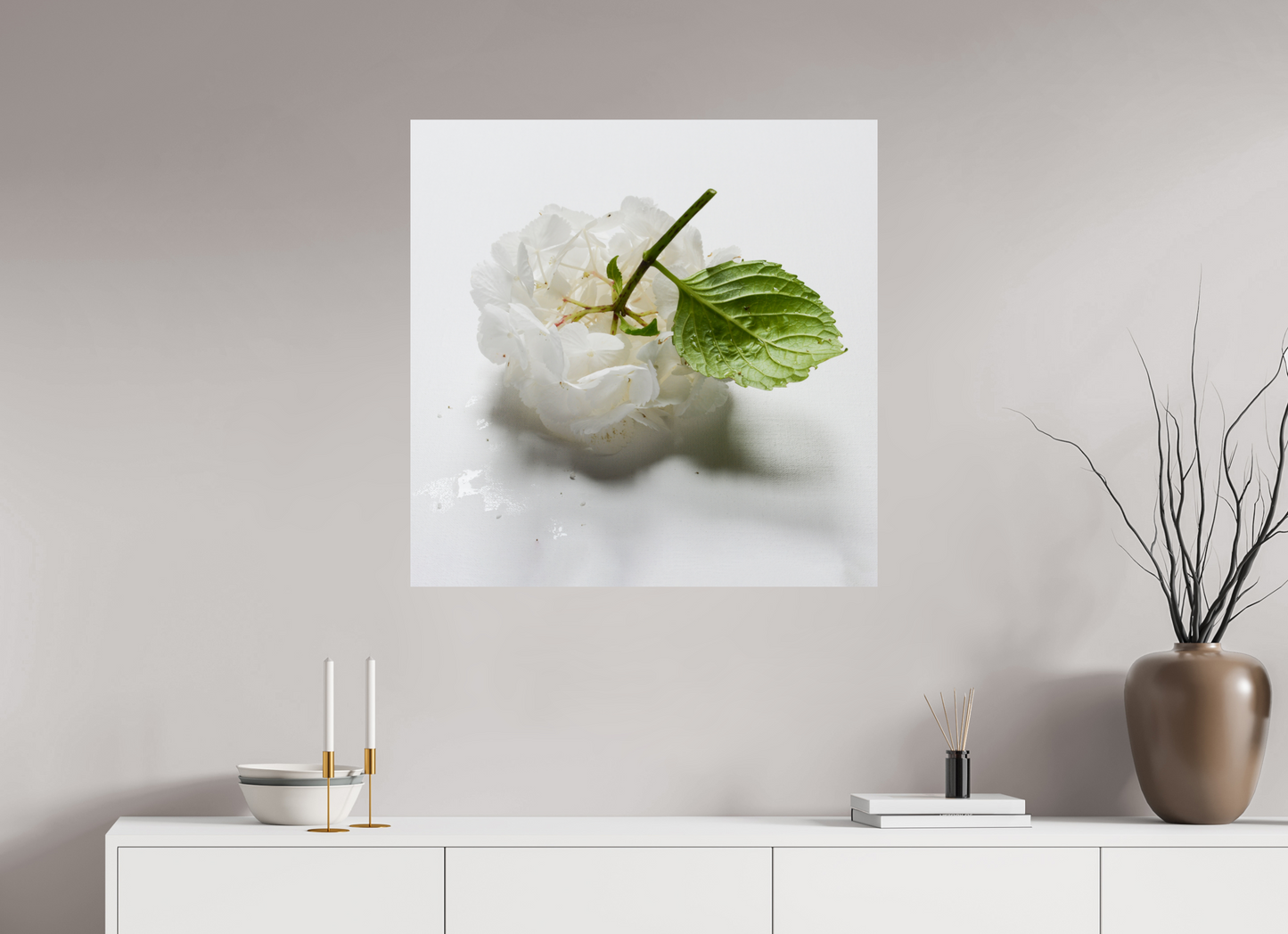 Hortensia