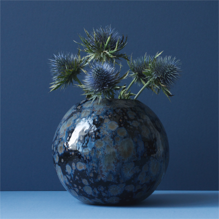 Realistisch stilleven van blauwe distels in een ronde keramieken vaas met blauw-zwarte glazuur, gefotografeerd door Dirk Bal.