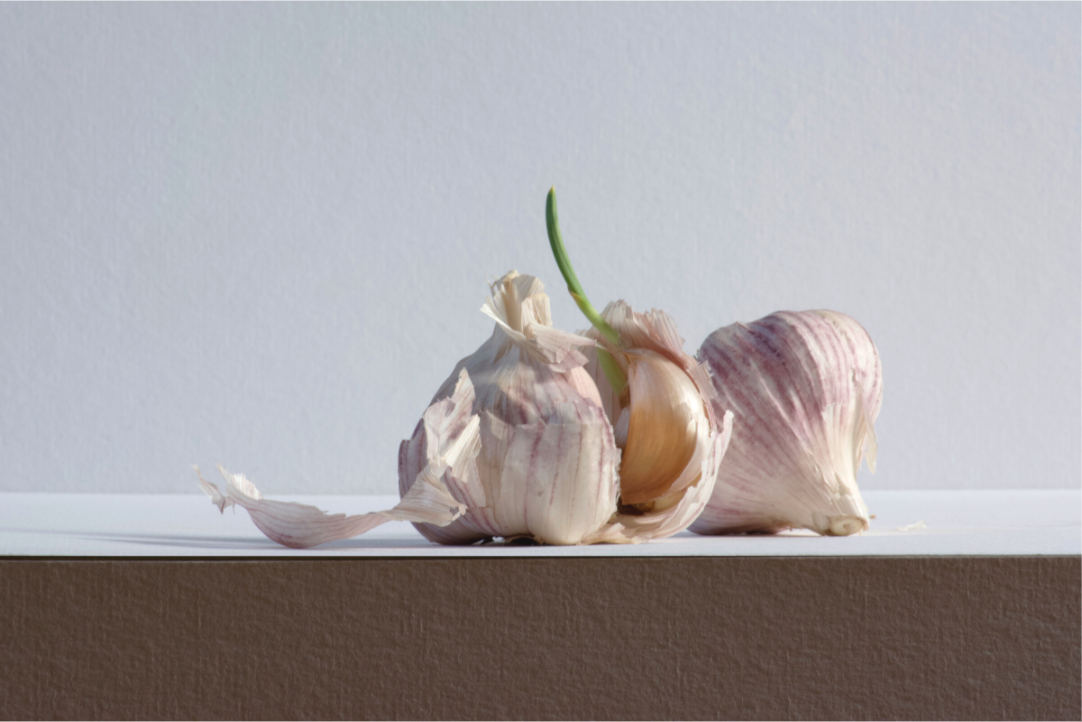 Realistisch stilleven van een bol knoflook, deels geschild met een groene spruit, op een glad wit oppervlak. Fotografie van Dirk Bal.