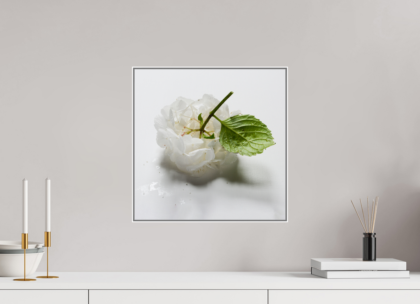 Hortensia