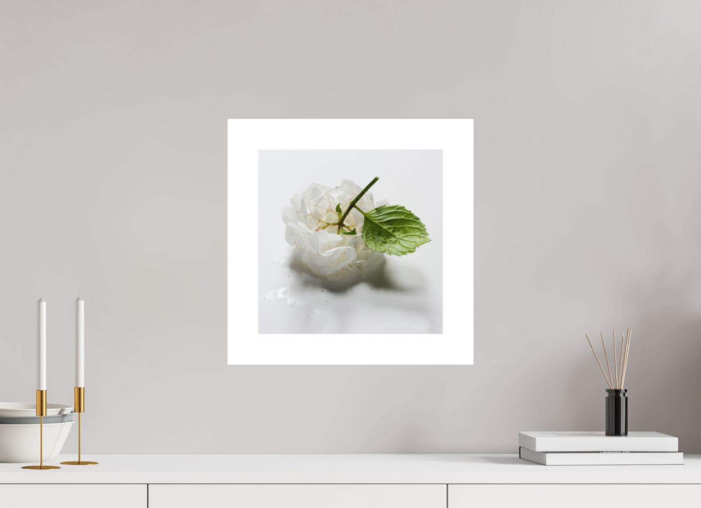 Hortensia