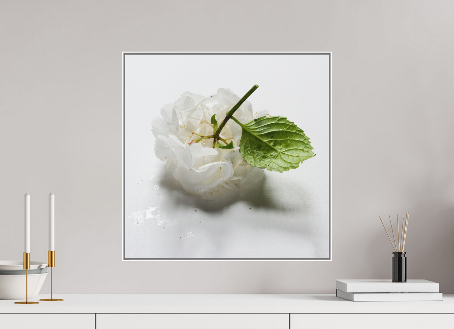 Hortensia