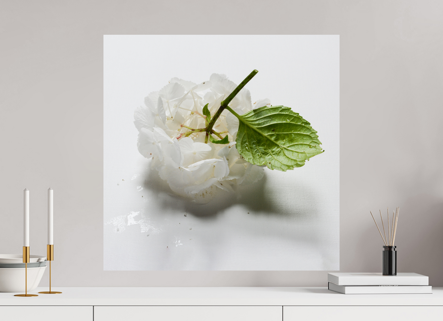 Hortensia