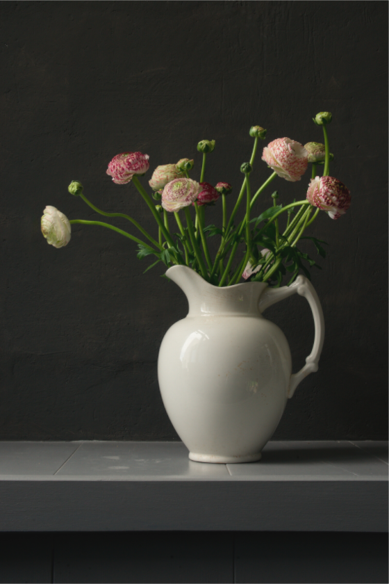 Realistisch stilleven van roze en witgroene ranonkels in een witte kan tegen een donkere achtergrond. Fotografie van Dirk Bal.
