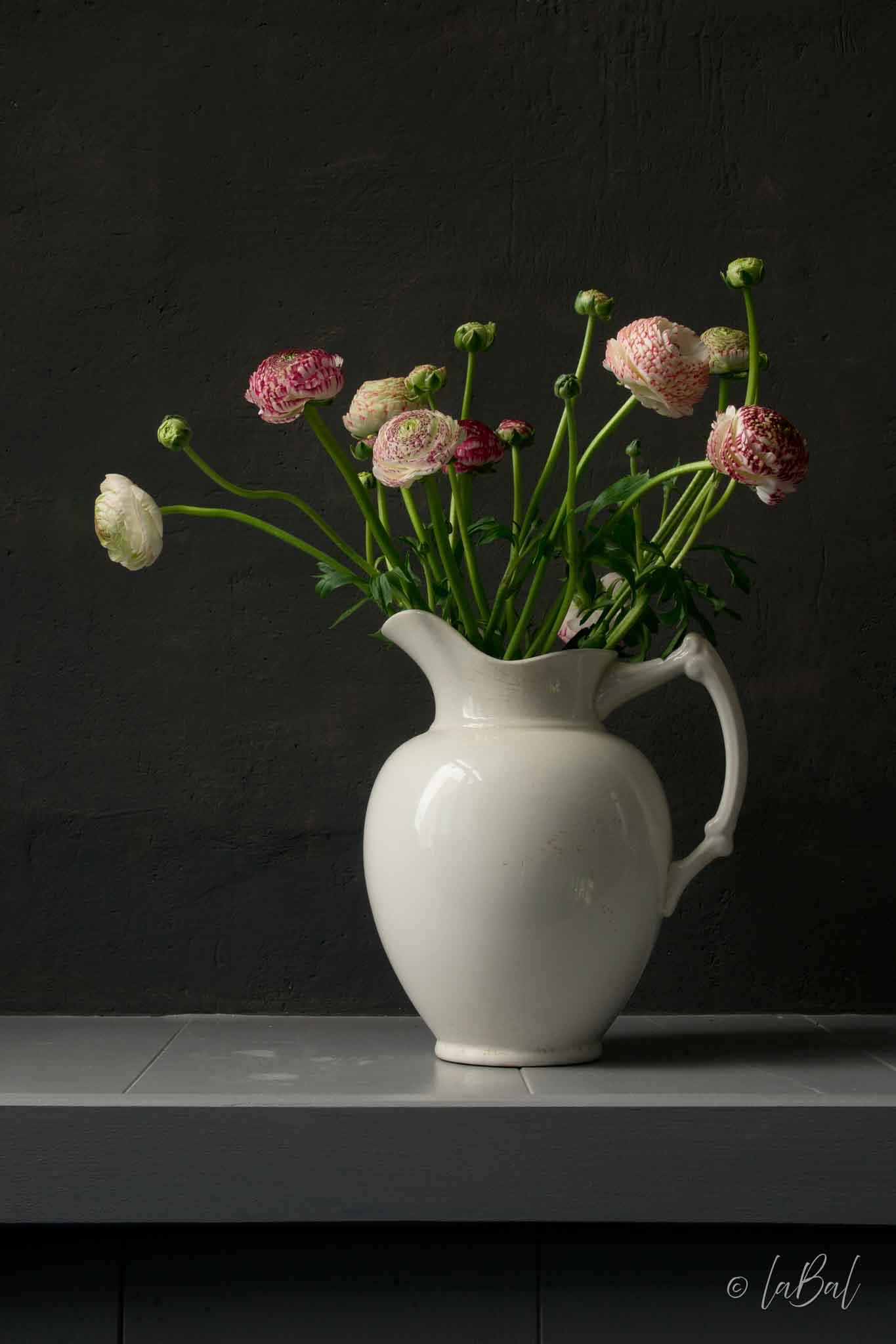 Realistisch stilleven van roze en witgroene ranonkels in een witte kan tegen een donkere achtergrond. Fotografie van Dirk Bal.