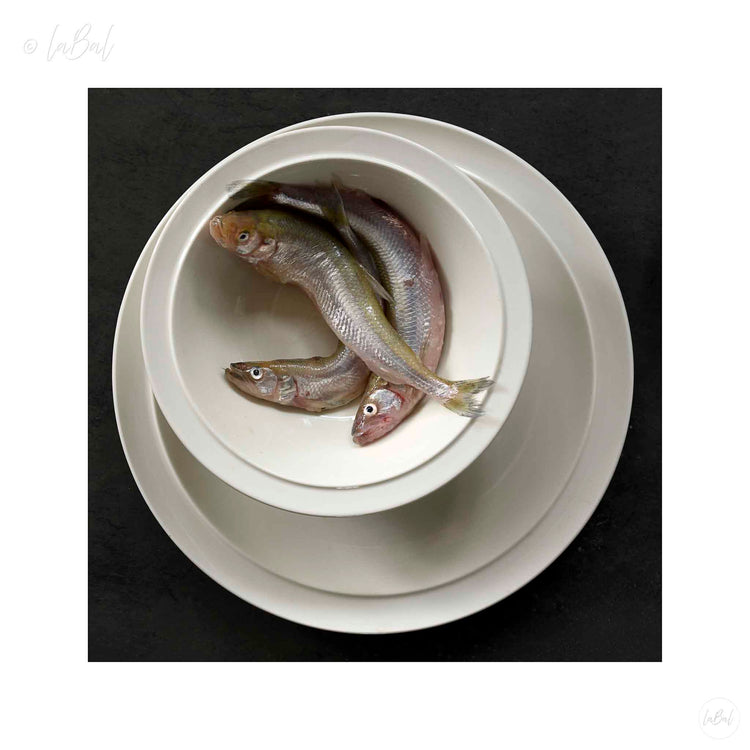 Spierinkjes