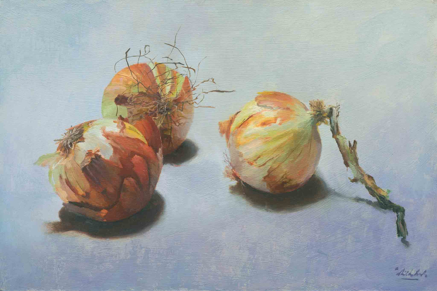 Realistisch stilleven van drie uien met loshangende schillen en wortels, liggend op een lichtblauwe ondergrond. Schilderij van Dirk Bal
