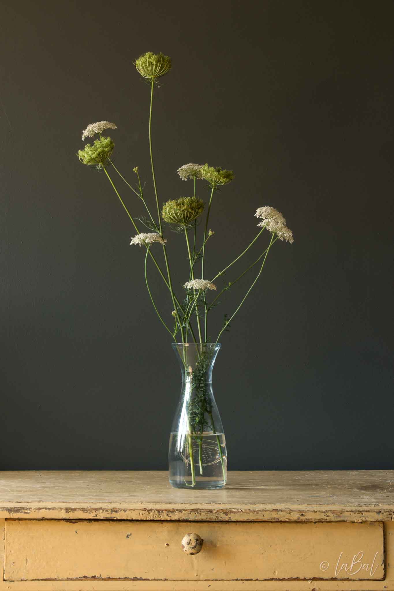 Set van 5 bloemenkaarten met envelop
