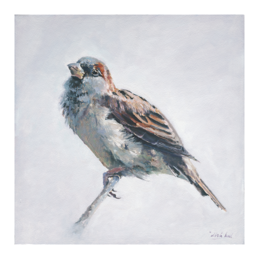 Schilderij van een mus op een tak, in realistische stijl met warme bruin- en grijstinten tegen een lichte achtergrond.