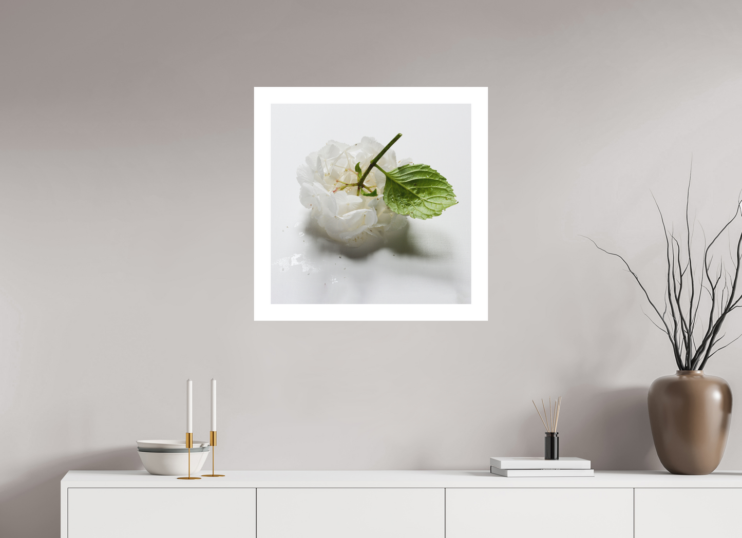 Hortensia