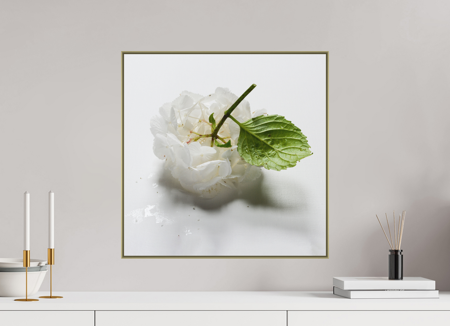 Hortensia