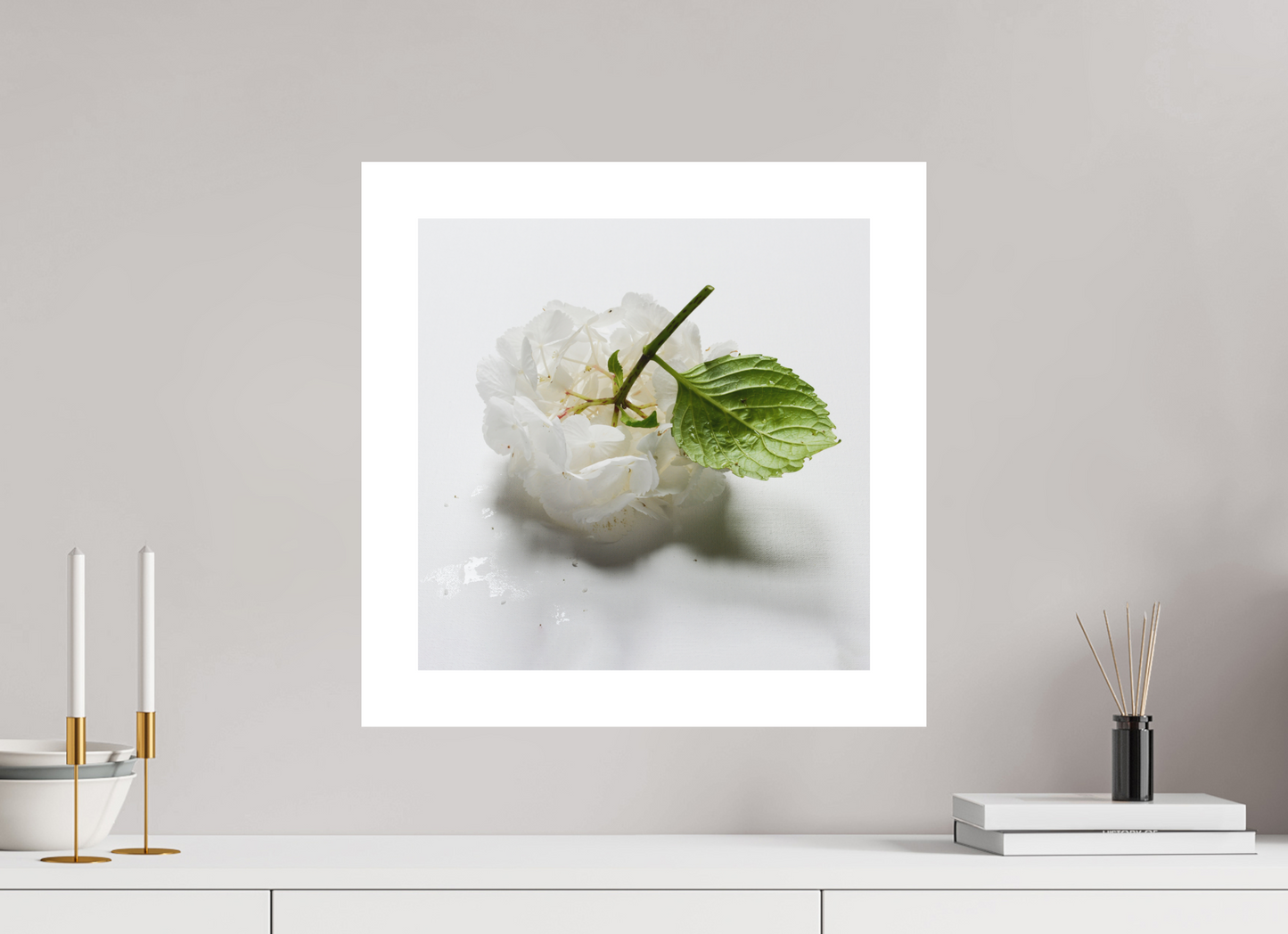 Hortensia