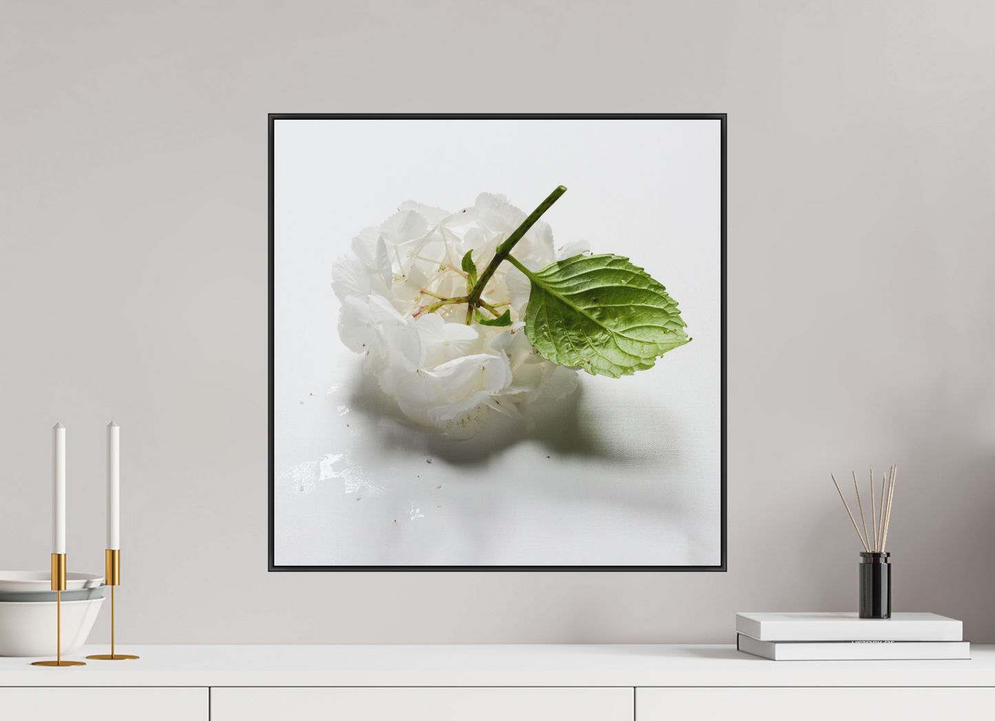 Hortensia