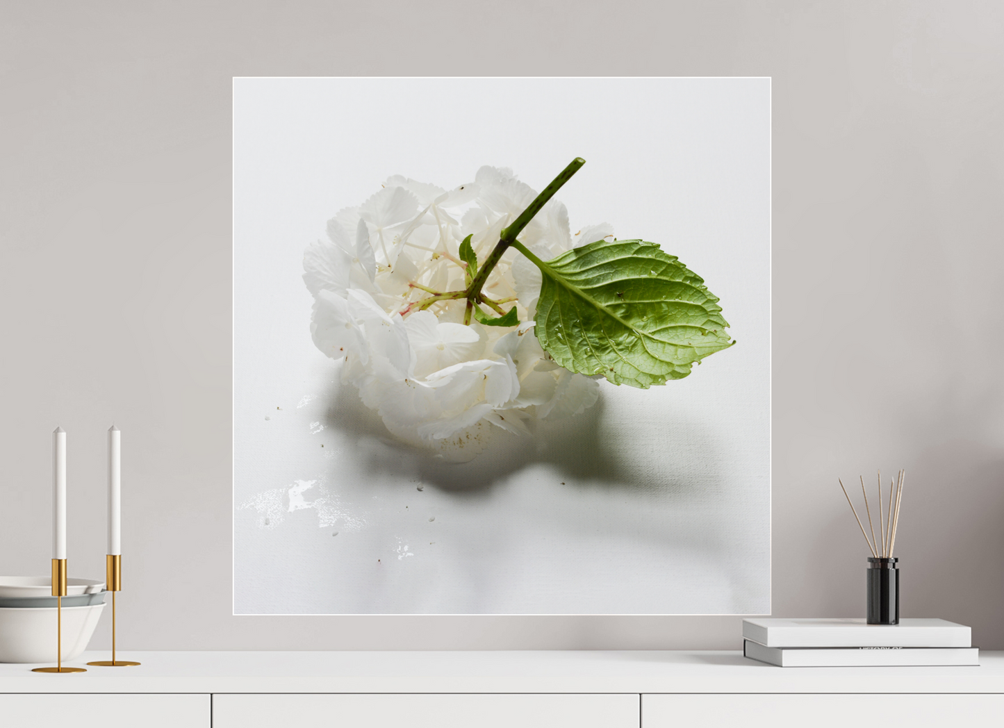Hortensia