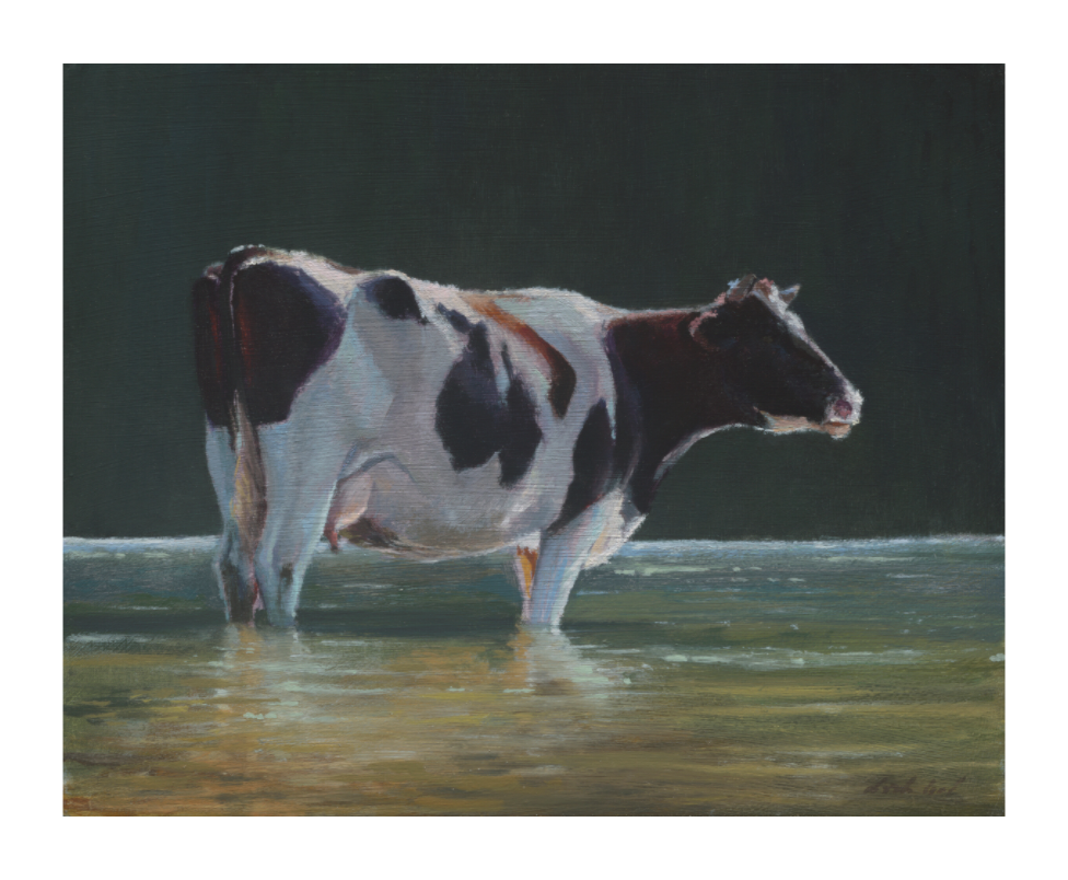 Realistisch schilderij van een zwart-witte koe die tot aan haar poten in het water staat, verlicht door zonlicht tegen een donkere achtergrond. Kunstwerk van Dirk Bal