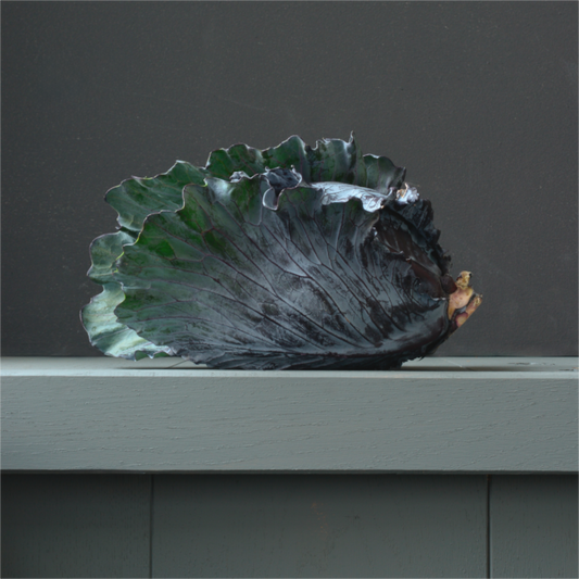 Realistisch stilleven van een rode kool op een lichtgroen oppervlak, met gedetailleerde, glanzende bladeren en een rustige, neutrale achtergrond. Fotografie van Dirk Bal.
