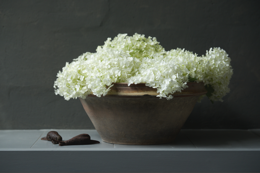 Realistisch stilleven van witte Annabelle-hortensia’s in een rustieke schaal – fine art print van Dirk Bal.