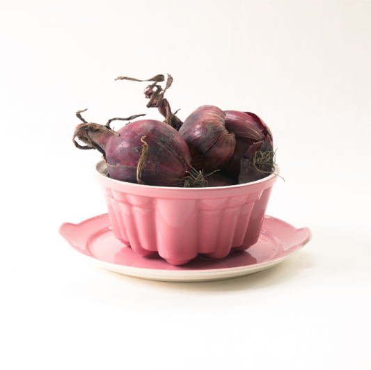 Realistisch stilleven van paarse rode uien in een roze schaal op roze bord, gefotografeerd door Dirk Bal.