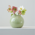 Main image Helleborus