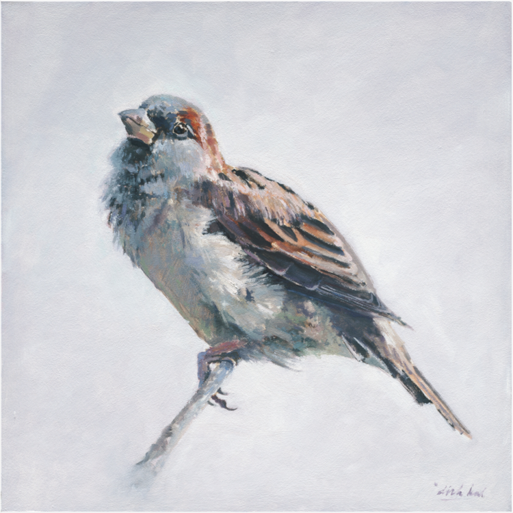 Schilderij van een mus op een tak, in realistische stijl met warme bruin- en grijstinten tegen een lichte achtergrond.