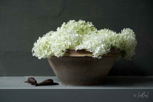 Realistisch stilleven van witte Annabelle-hortensia’s in een rustieke schaal – fine art print van Dirk Bal.