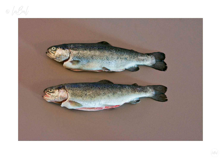 Forellenduo