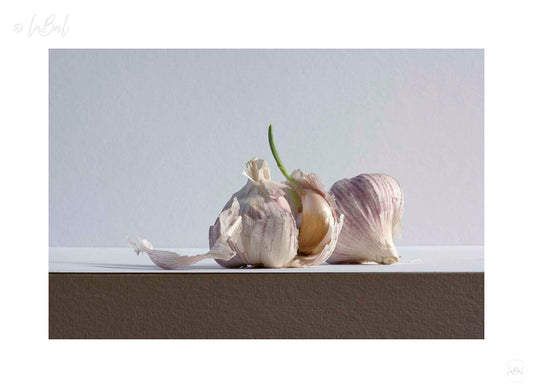 Stilleven met Franse knoflook