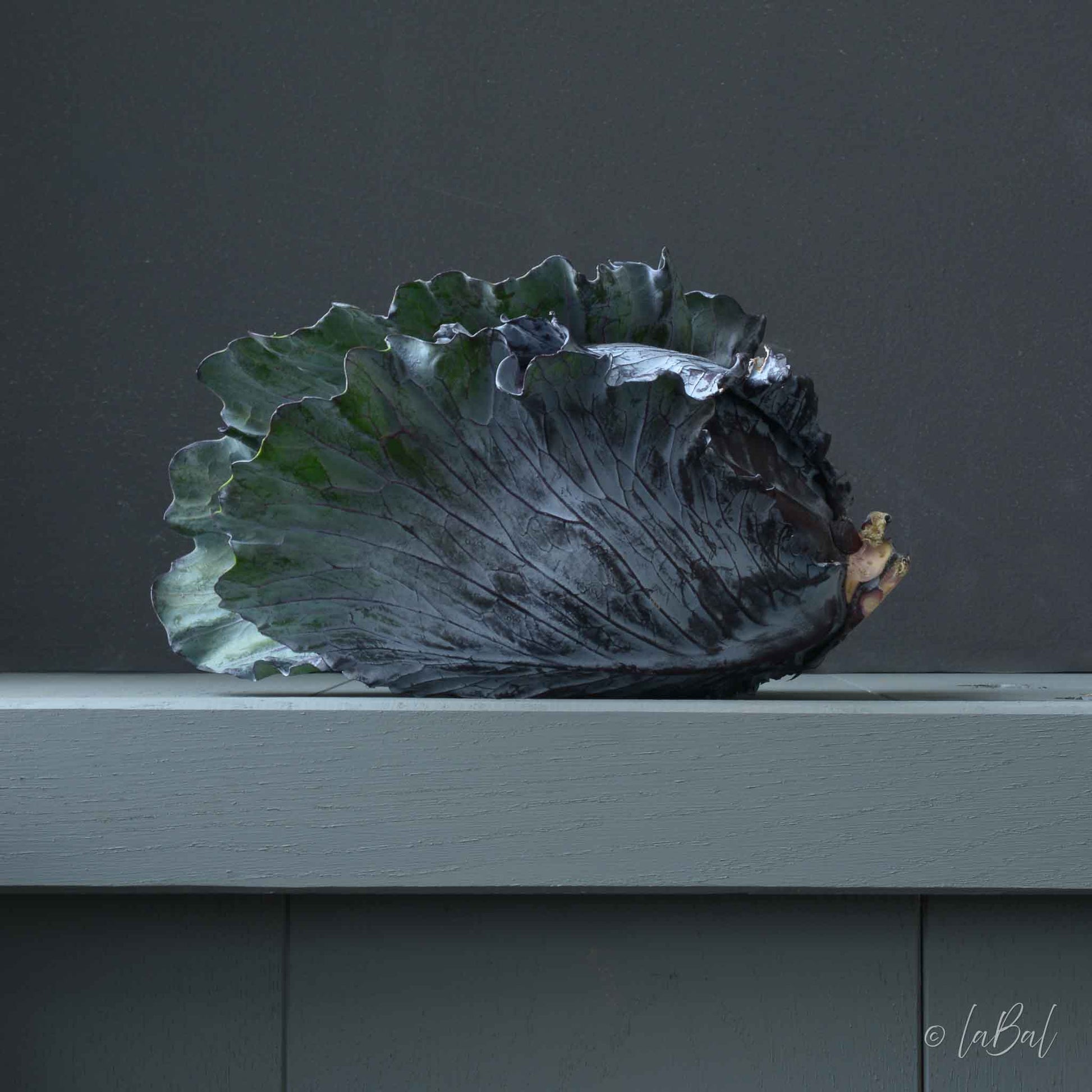 Realistisch stilleven van een rode kool op een lichtgroen oppervlak, met gedetailleerde, glanzende bladeren en een rustige, neutrale achtergrond. Kunstwerk van Dirk Bal.