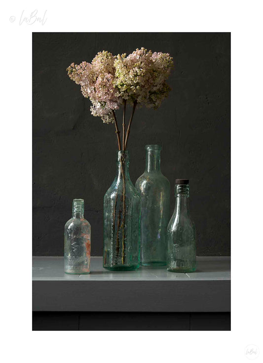 Stilleven met seringen