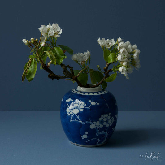 Realistisch stilleven van witte perenbloesem in blauwe vaas op blauwe achtergrond – fine art print van Dirk Bal.