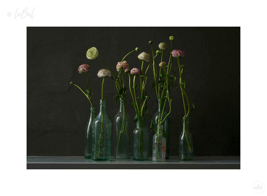 Ranonkels in flessen