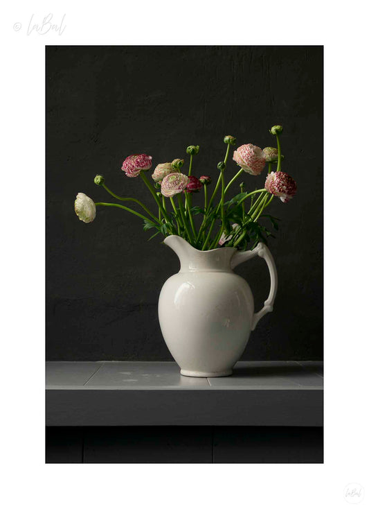 Ranonkels in witte vaas