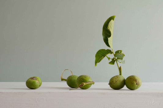 Walnoten in  bolster