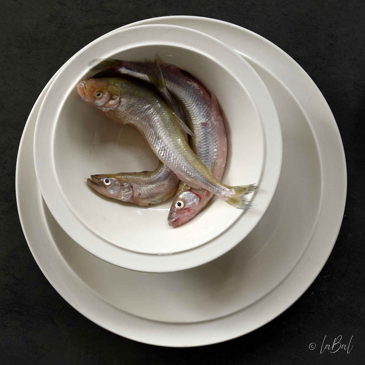 Realistisch stilleven van drie zilverkleurige spierinkjes in een witte kom op stapel schalen, gefotografeerd door Dirk Bal.