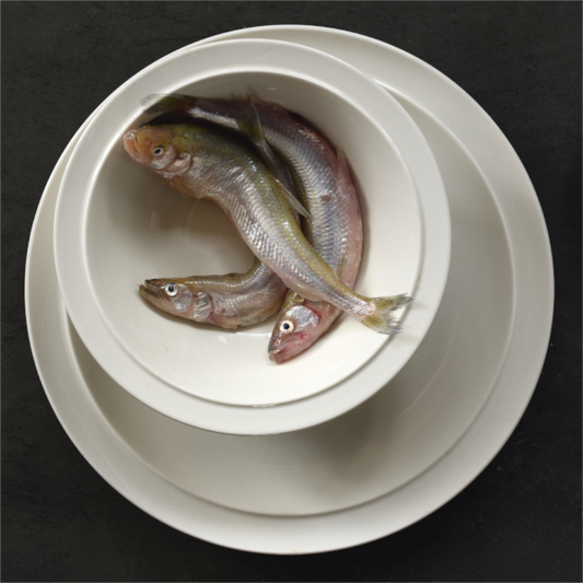 Realistisch stilleven van drie zilverkleurige spierinkjes in een witte kom op stapel schalen, gefotografeerd door Dirk Bal.