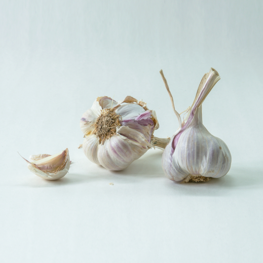 Realistisch stilleven met twee knoflookbollen en een losse teen op een lichte achtergrond.
