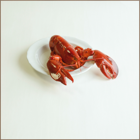 Realistisch stilleven van een rode kreeft op wit bord – fine art print van Dirk Bal.