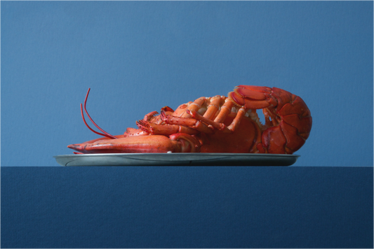 Realistisch stilleven van een rode kreeft op zilveren schaal tegen blauwe achtergrond, gefotografeerd door Dirk Bal.